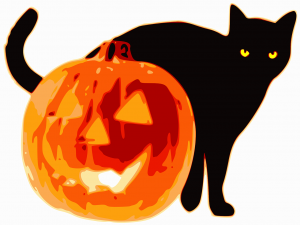 Carved pumpkin with a black cat