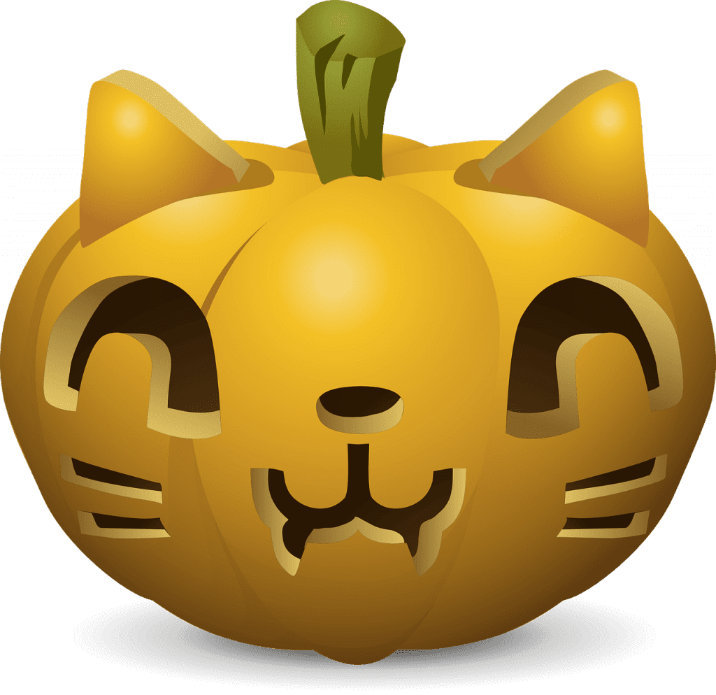 cat pumpkin face