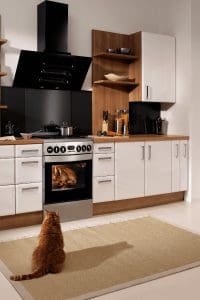 cat in kitchen