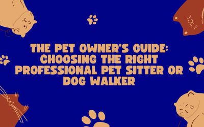 A Pet Owner’s Guide: Choosing the Right Professional Pet Sitter or Dog Walker