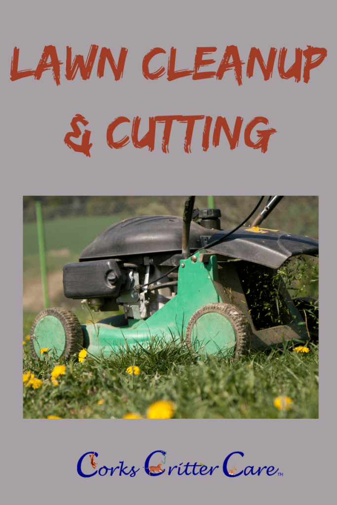 lawn mover cutting grass